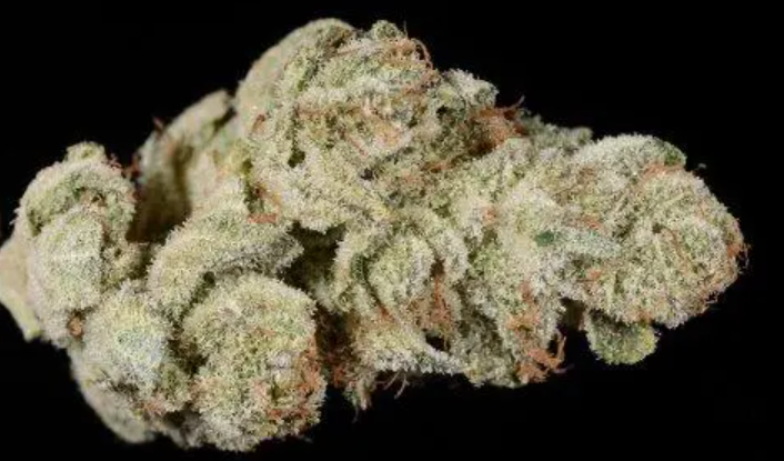 The Full Guide To The Best White Weed Strains Out There
