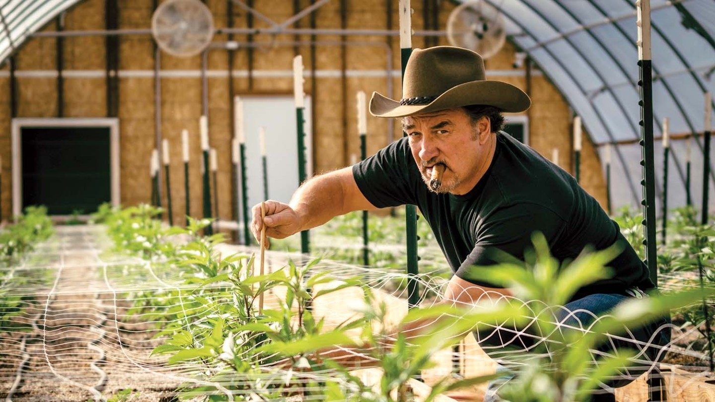 Jim Belushi Leaves Hollywood To Grow Cannabis