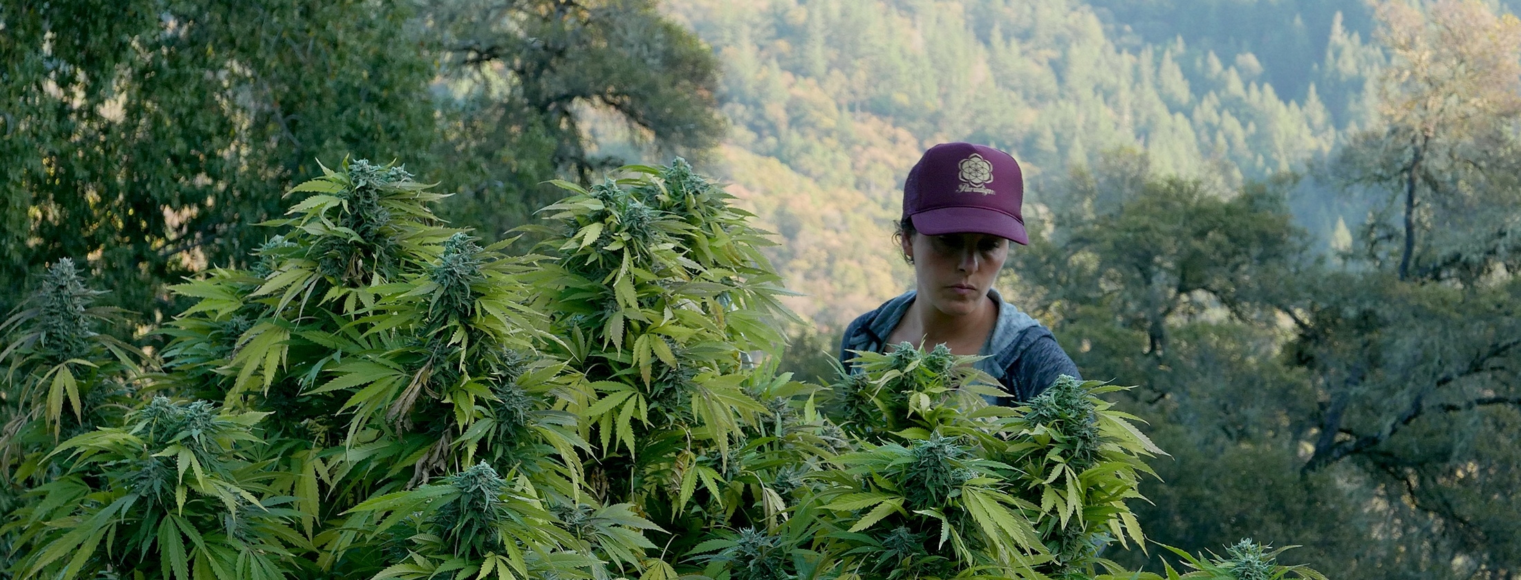 What We’re Watching: Lady Buds