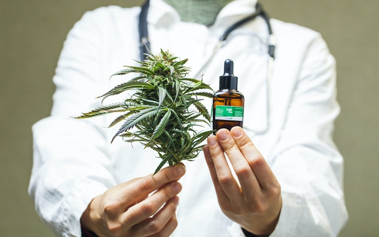 New Study Proves That Physicians Don’t Have Proper Knowledge About Medical Cannabis