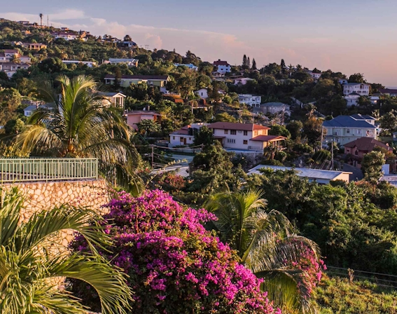 A New Marijuana Campaign From The Jamaican Government Is Reducing The Stigma Around Cannabis