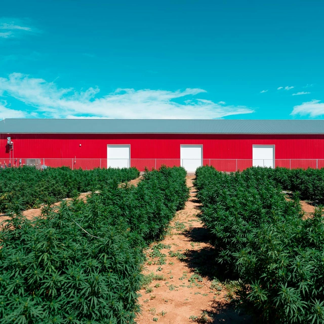 Veritas Farms Will Now Be Sold In Kroger