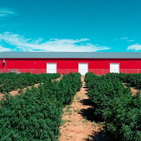 Veritas Farms Will Now Be Sold In Kroger