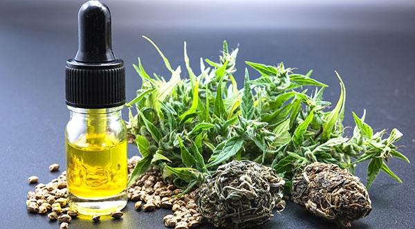 Hemp Oil Might Be Better Than Fish Oil For Omega-3s