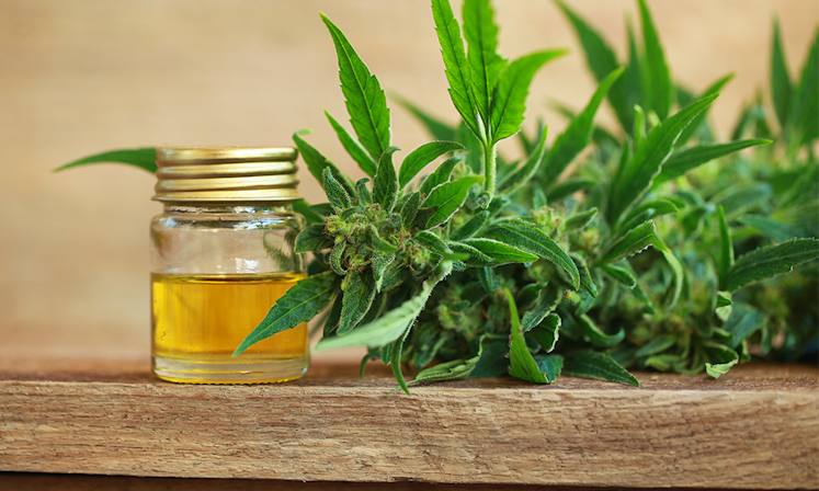 Hemp Oil Might Be Better Than Fish Oil For Omega-3s