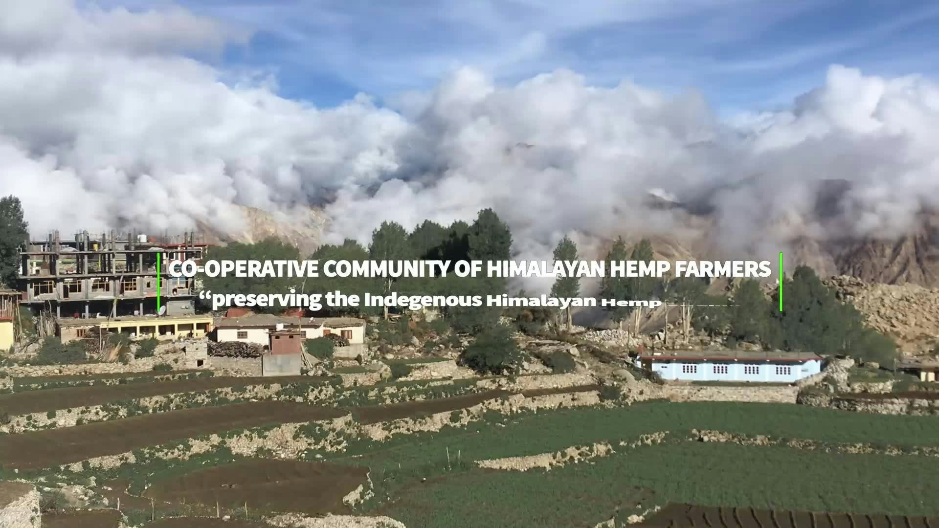 These Reusable Cannabis Sanitary Pads Are Helping Women In The Himalayas