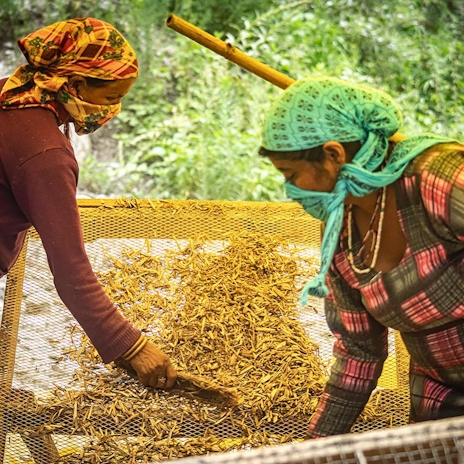 These Reusable Cannabis Sanitary Pads Are Helping Women In The Himalayas