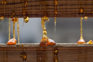 The Fascinating World Of Liquid Diamond Live Resin