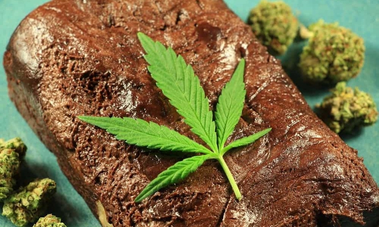 A Massachusetts Cannabis Company Just Made The World’s Largest THC Brownie