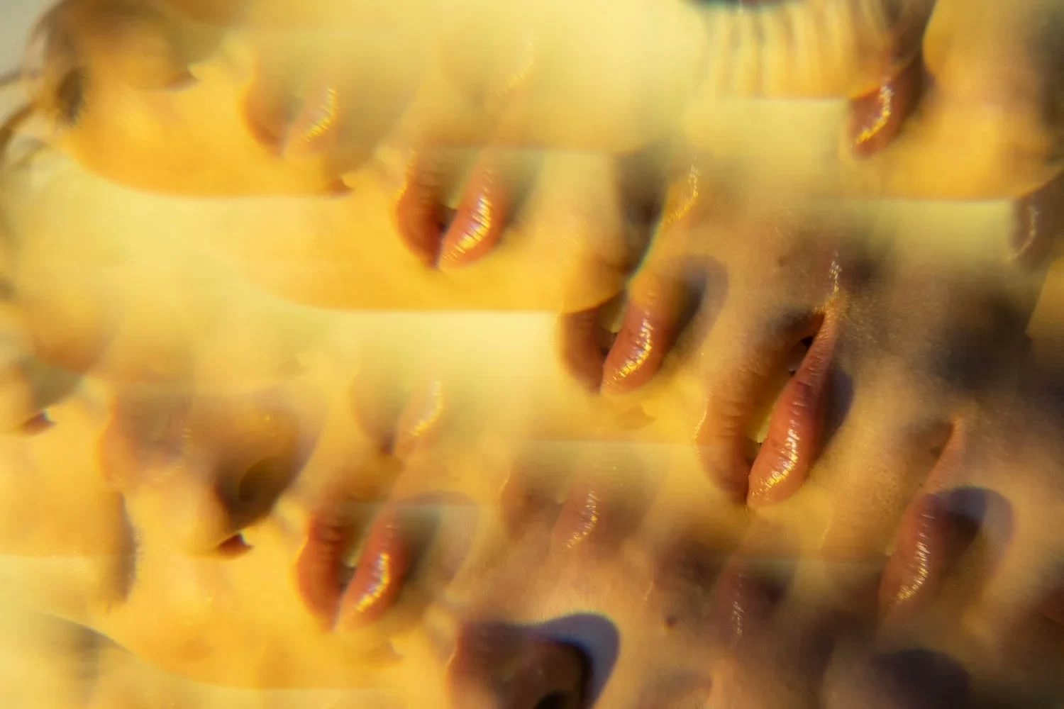 10 Ways Cannabis Makes Music Sound Better