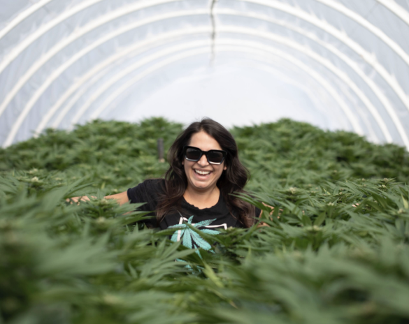 Letter To Santa Mary Jane: We Asked 8 Famous Cannabis Aficionados To Share Their Gift List For 2021