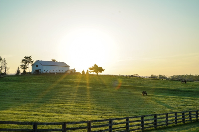 Kentucky Governor Wants To Legalize Medical Marijuana And Sell It To Other States