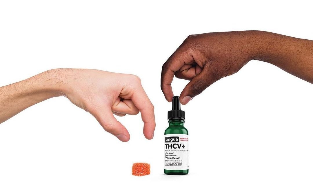 Herb’s Guide To Buying THCV