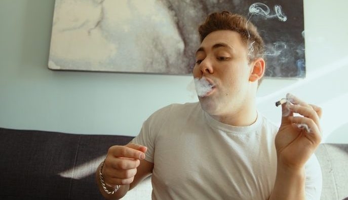 All About Sativa Flowers