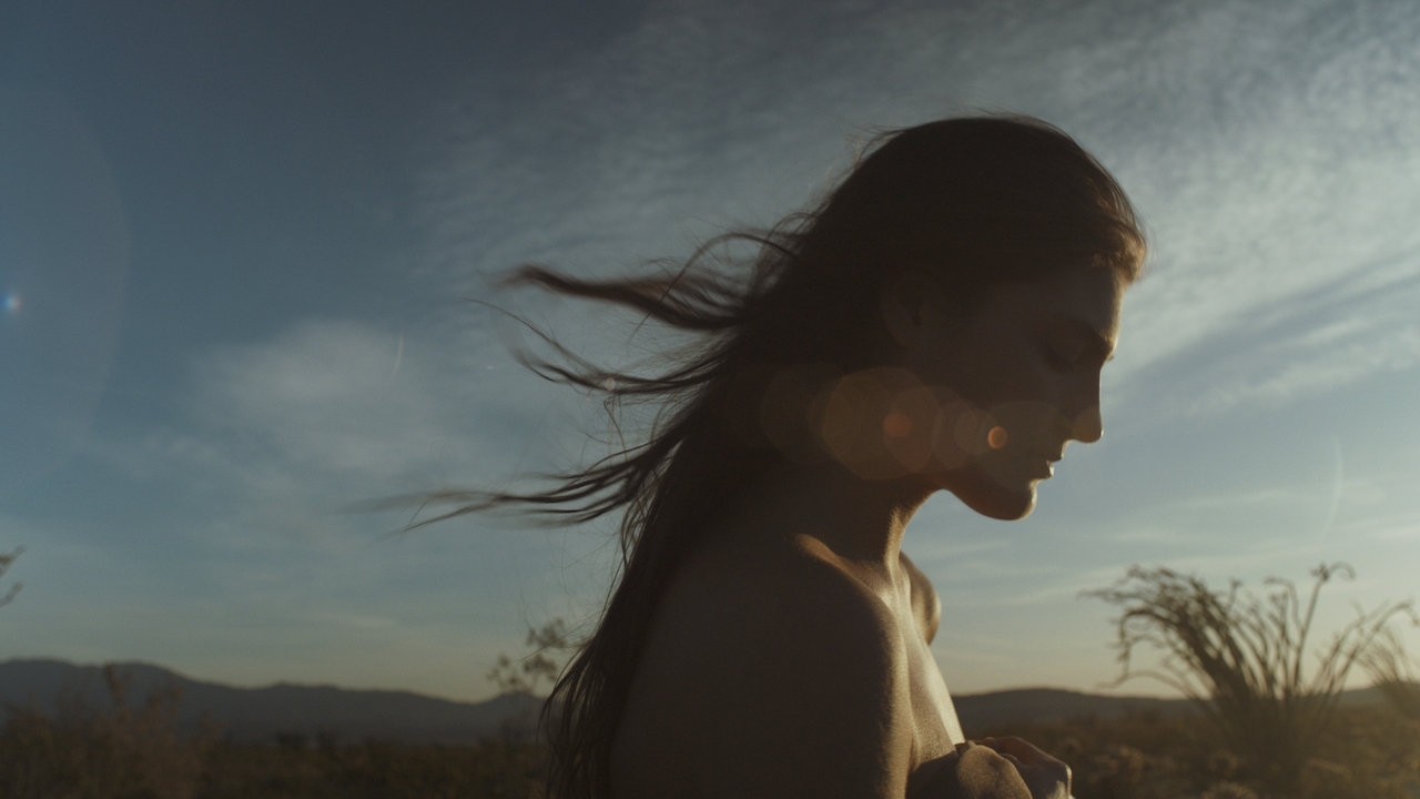 4 Scenarios When Low-THC Is Better