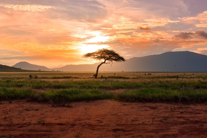 Africa’s Cannabis Industry Projected To Be Valued At $7 Billion By 2023