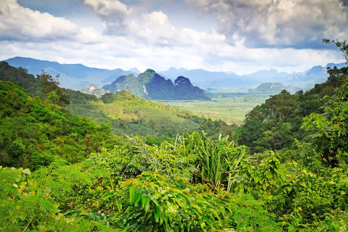Cannabis Will Reach Full Legalization In Thailand In 2022