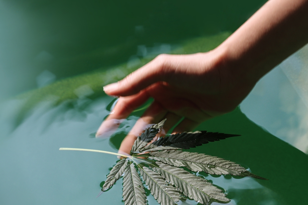 Cannabis Will Reach Full Legalization In Thailand In 2022