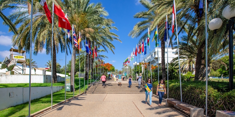 Israeli Researchers Shed Light On The Benefits Of THC Treatments For Autistic Patients