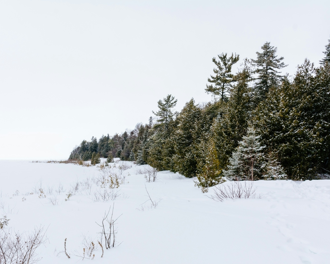 The Best Smoke Tricks To Perform With A Bong
