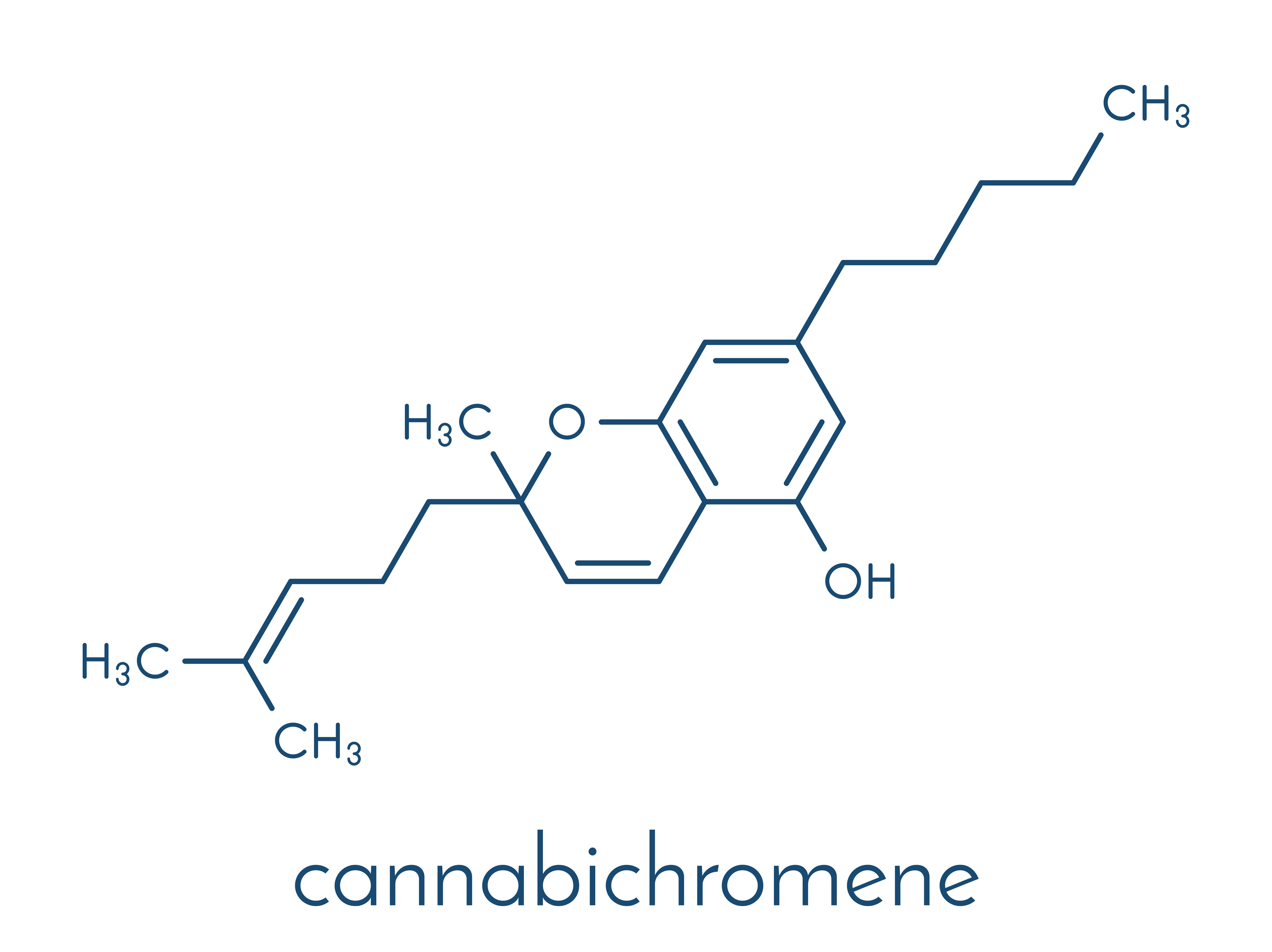 CBDP vs CBT vs CBC: What’s The Difference?