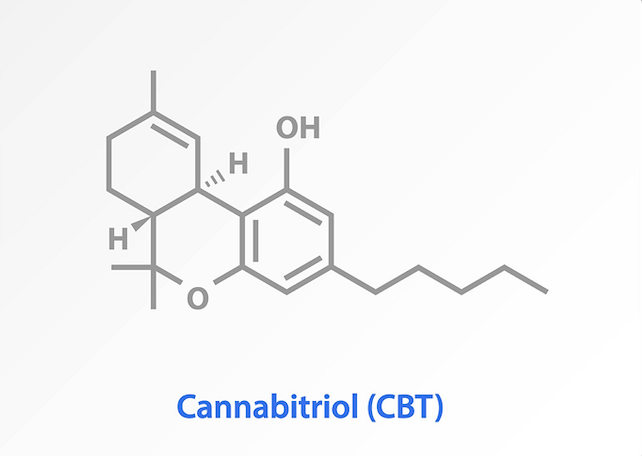 CBDP vs CBT vs CBC: What’s The Difference?
