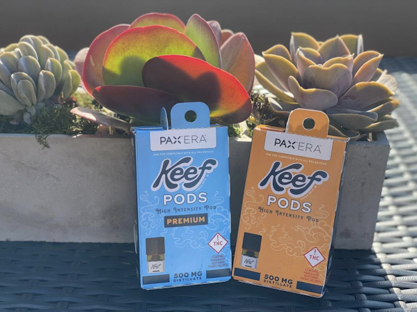 Keef PAX Era Pods Review: What You Need To Know