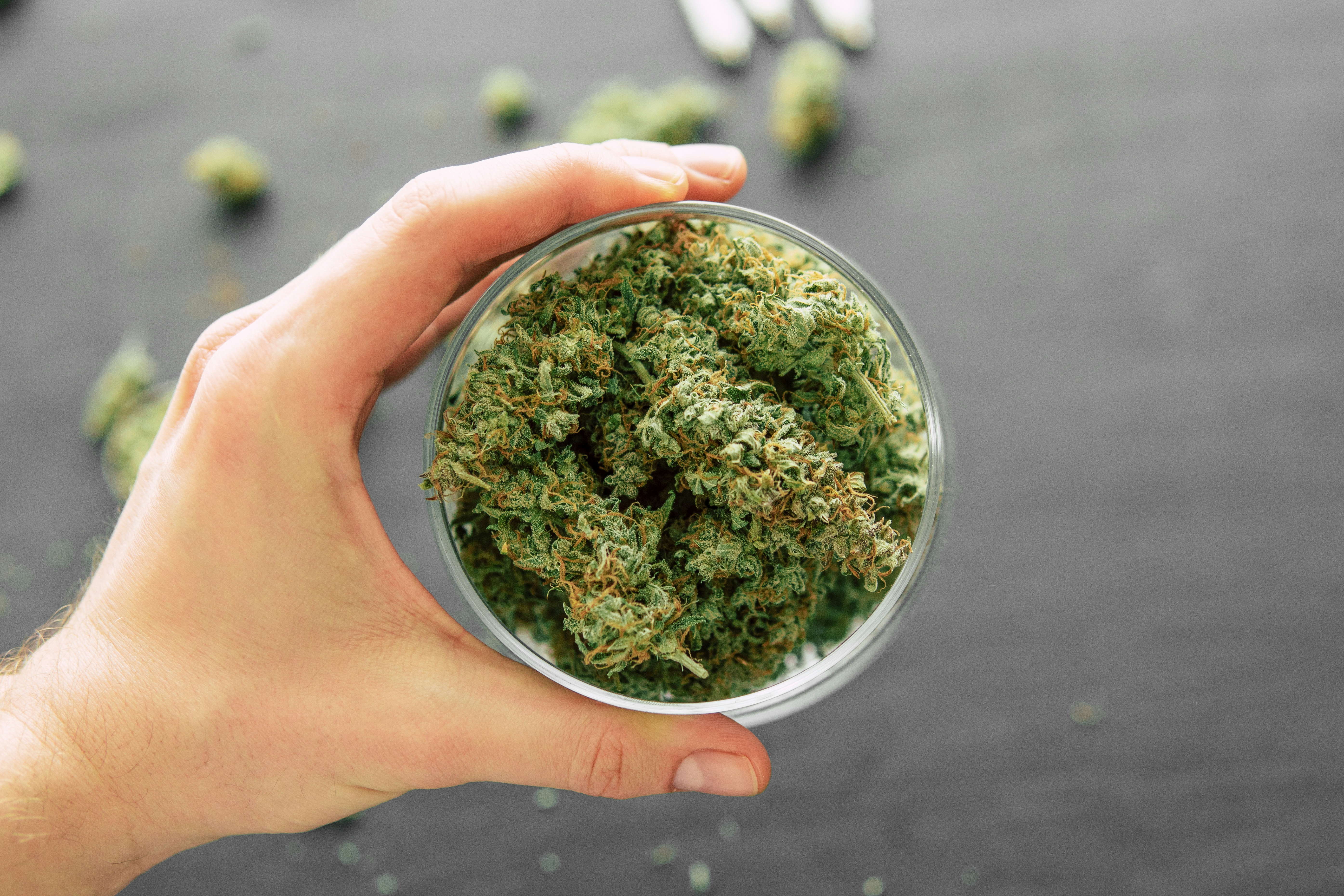 How To Store Hemp Flower