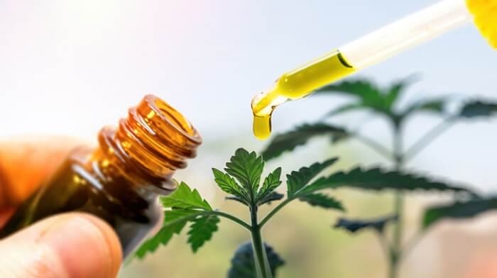 Whole-Plant vs. Flower-Only Hemp Oil