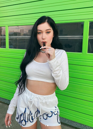 STIIIZY DISPOSABLE
