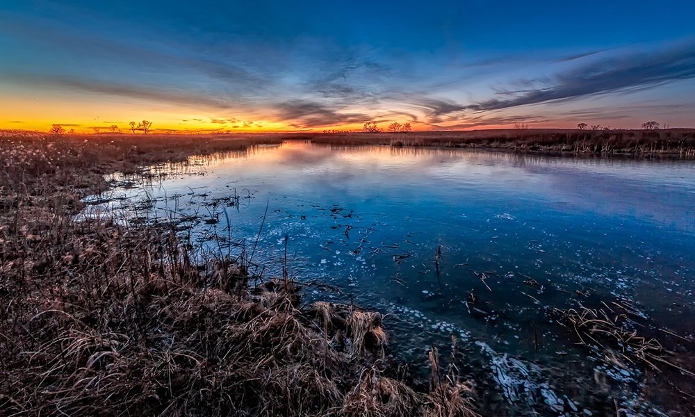 5 Things To Do In Cannabis-Friendly Naperville, Illinois