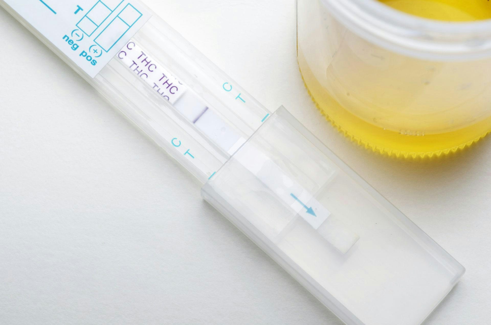 4 Best At-Home Drug Tests & How They Work