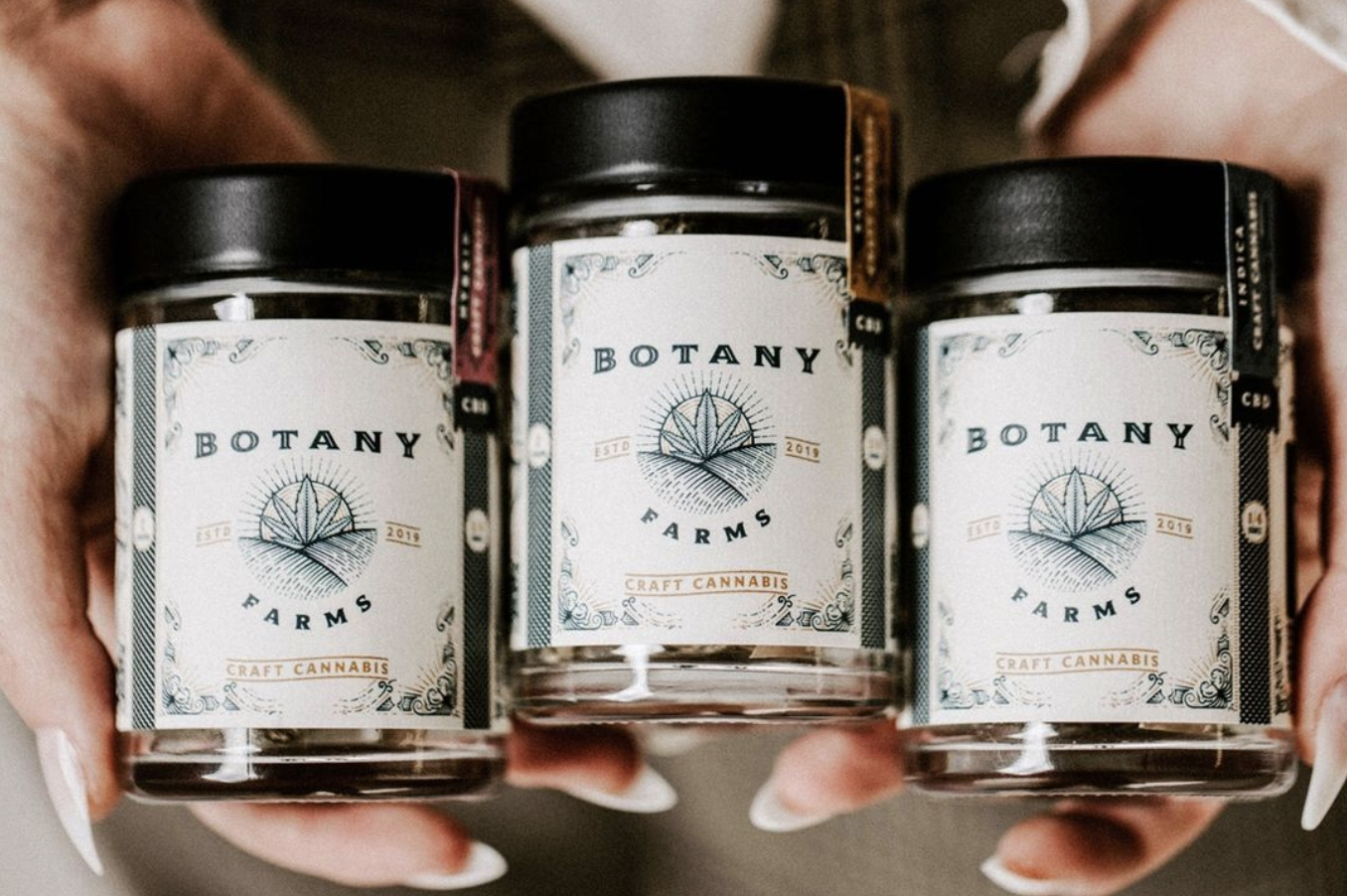 Everything You Need To Know About Botany Farms’ Delta 10 Vape Cartridges