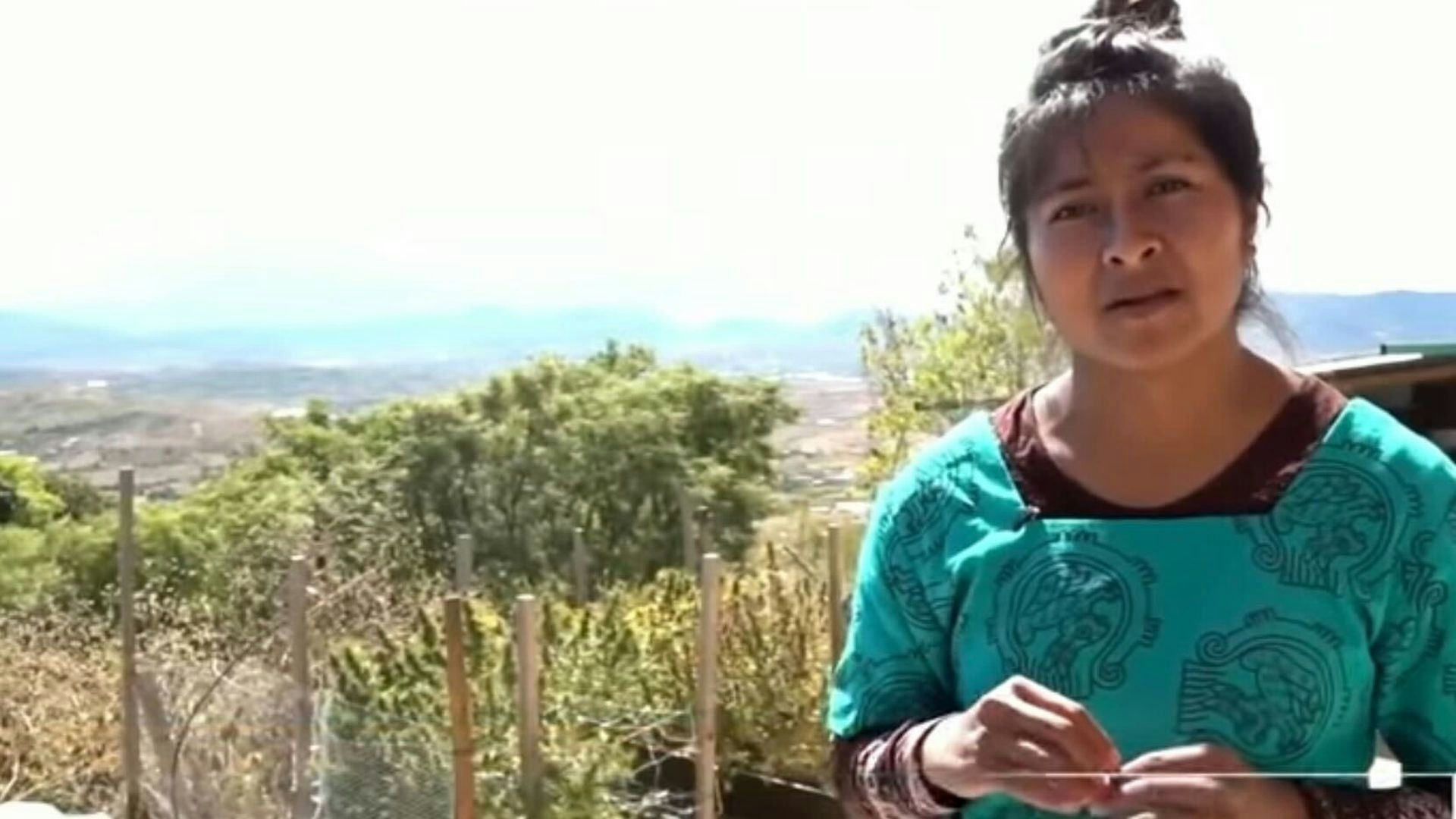 Indigenous Communities In Mexico Are Planting Cannabis Instead Of Corn To Prepare For Legalization