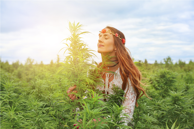 What Are Cannabis Suppositories? Benefits & Do They Work?