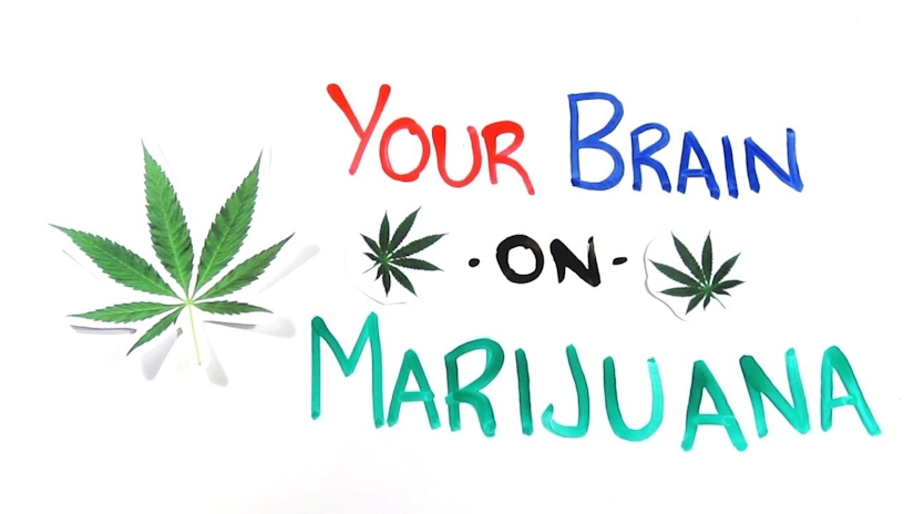 What’s Going on in Your Brain When You’re on Marijuana?