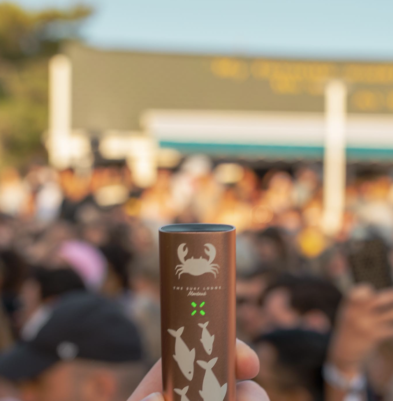 Dabbing Showdown: Comparing the PAX 3 & A Rig