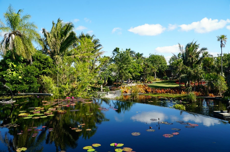 Best Things To Do In Naples, FL – Shopping, Museums, & Beaches