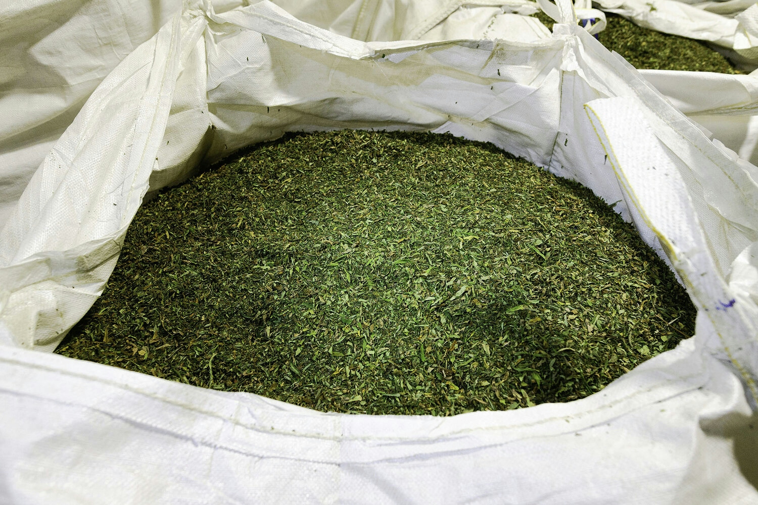 Review: Hemp Farms Of New York