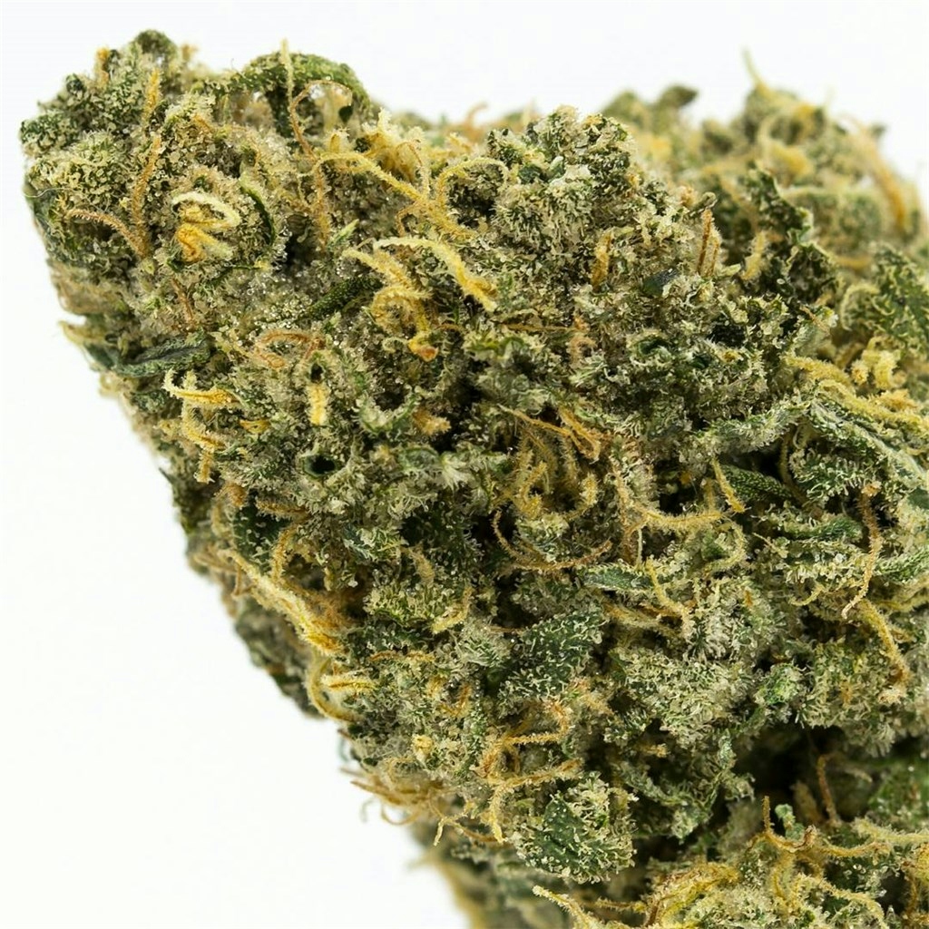 Our Favorite Landrace Strains From The Kush Mountains