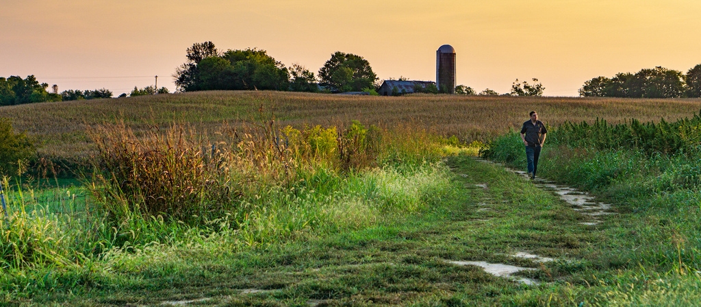 Why Kentucky Land Is Great For Whiskey And Cannabis