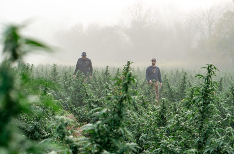 What Kentucky And The Hindu Kush Have In Common