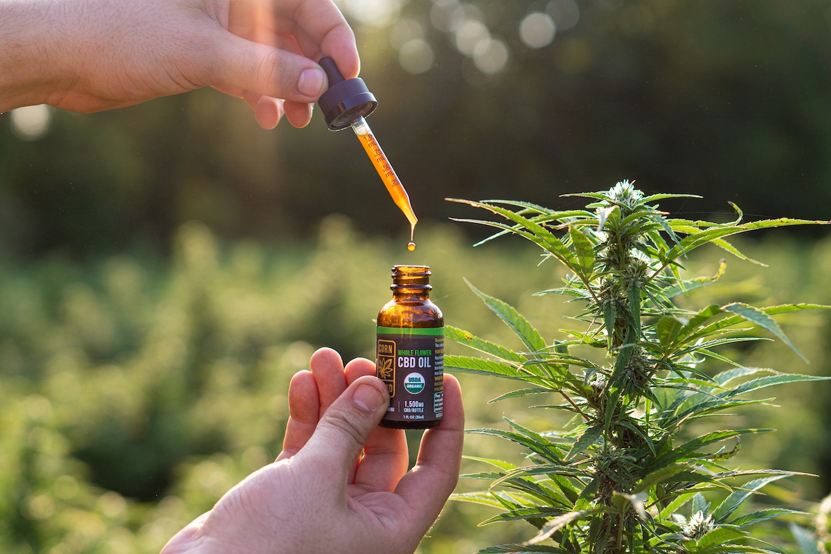 Recipe: Cannabis-Infused Cornbread