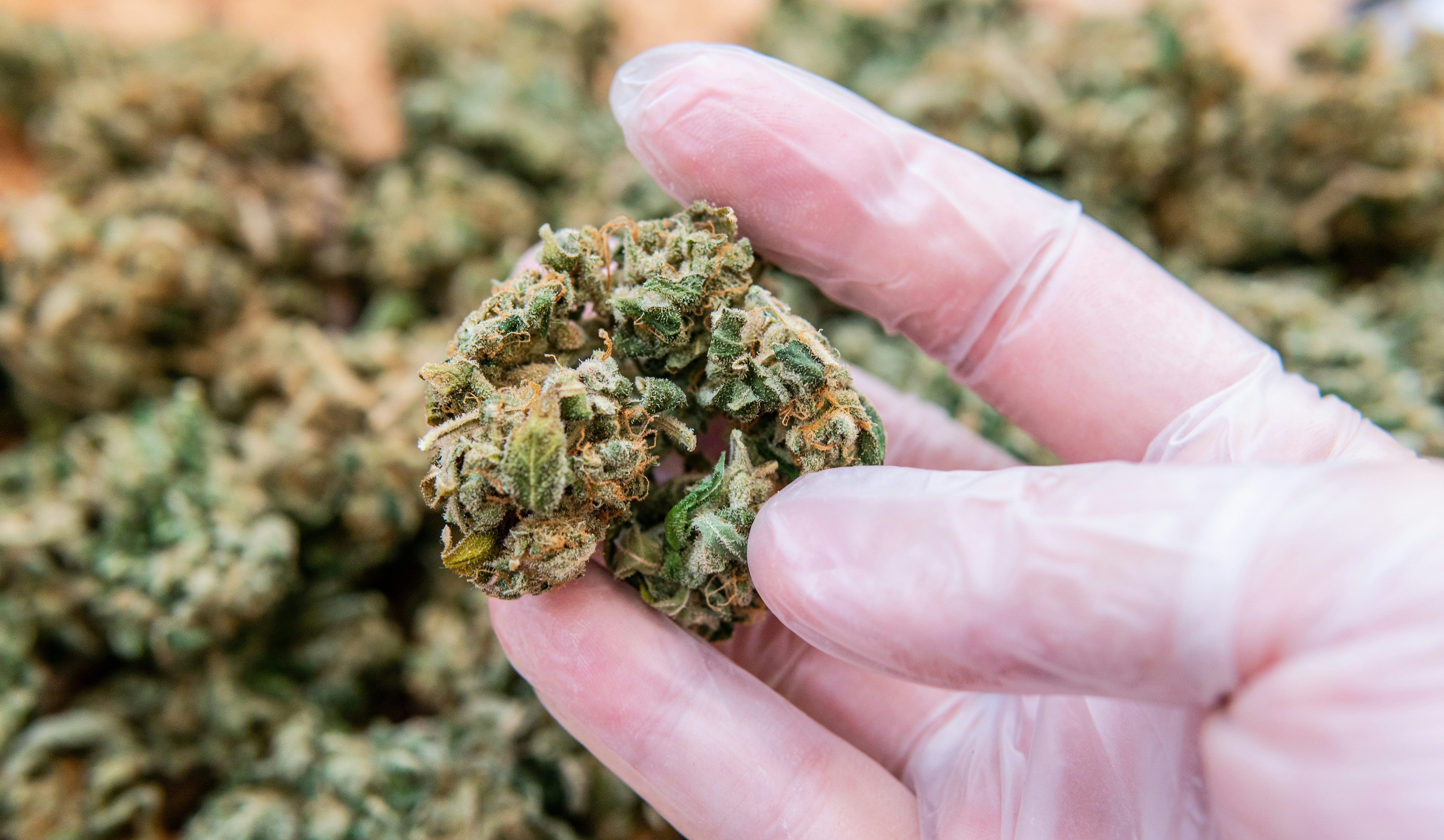 What Is THC-JD? Benefits And Effects