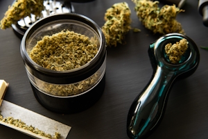 10 CBD Products You Must Try From Weed.com