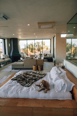 Feng Shui: The Ancient Art Of Decorating Your Space Could Help You Sleep Better