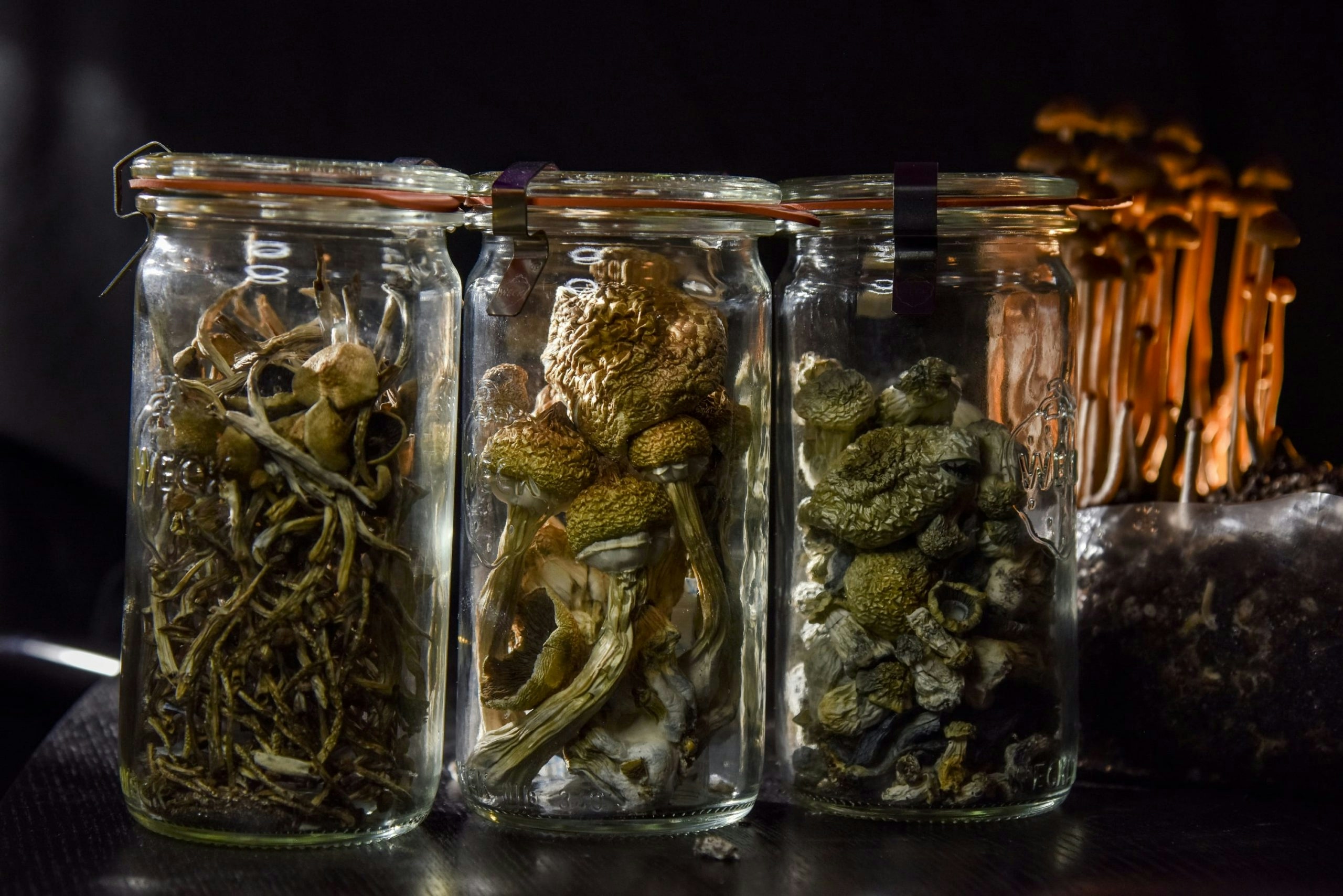Storing Mushrooms: How Long Do They Last?