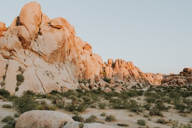 Why Palm Springs Is A Dream Location For Cannabis Lovers