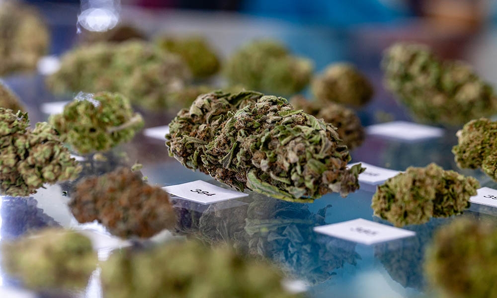 This Year’s Emerald Cup Will Take Place At The New Green Street Building