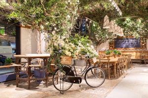 BBB: Best Bakeries In Brooklyn